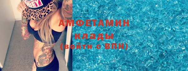 СК Алексин