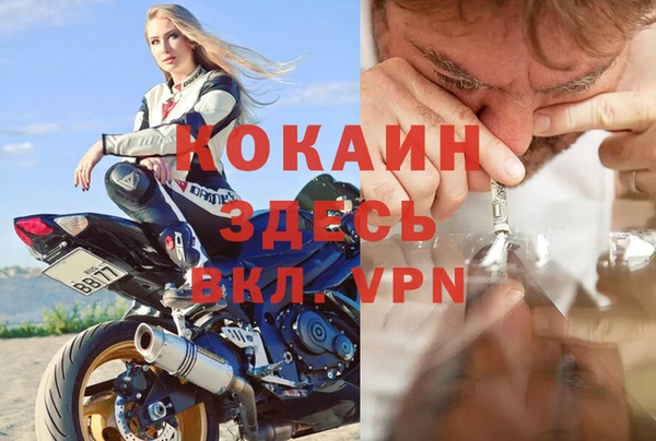 СК Алексин